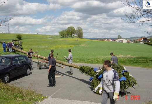 2003 05 006 Maibaum