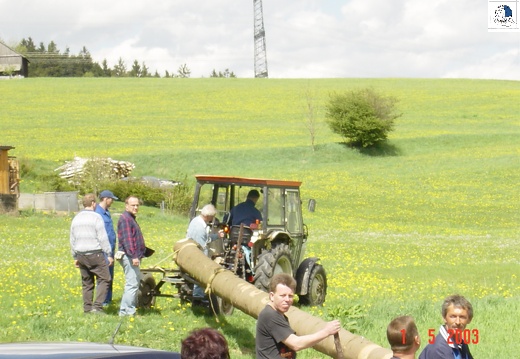 2003 05 007 Maibaum