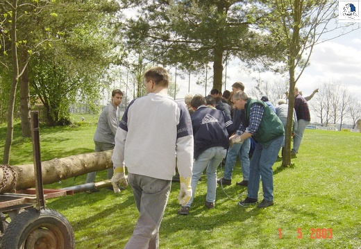 2003 05 010 Maibaum