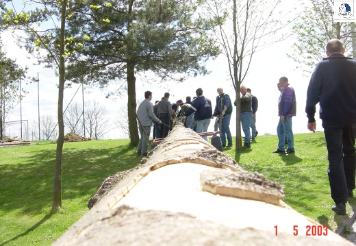 2003 05 011 Maibaum