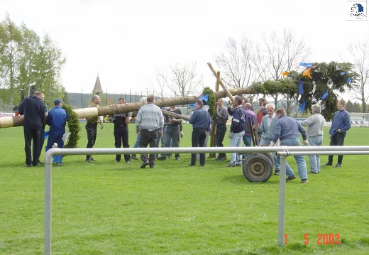 2003 05 017 Maibaum