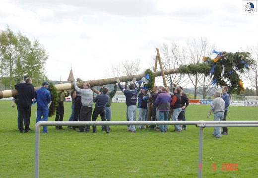 2003 05 018 Maibaum