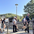 IMG 2203