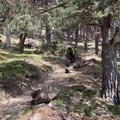 WhatsApp Video 2024-04-26 at 16.02.07