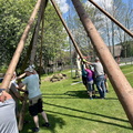 Maibaum 2025