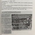 IMG 3141