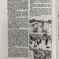 IMG 3142