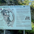 IMG 8459
