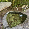 IMG 8452