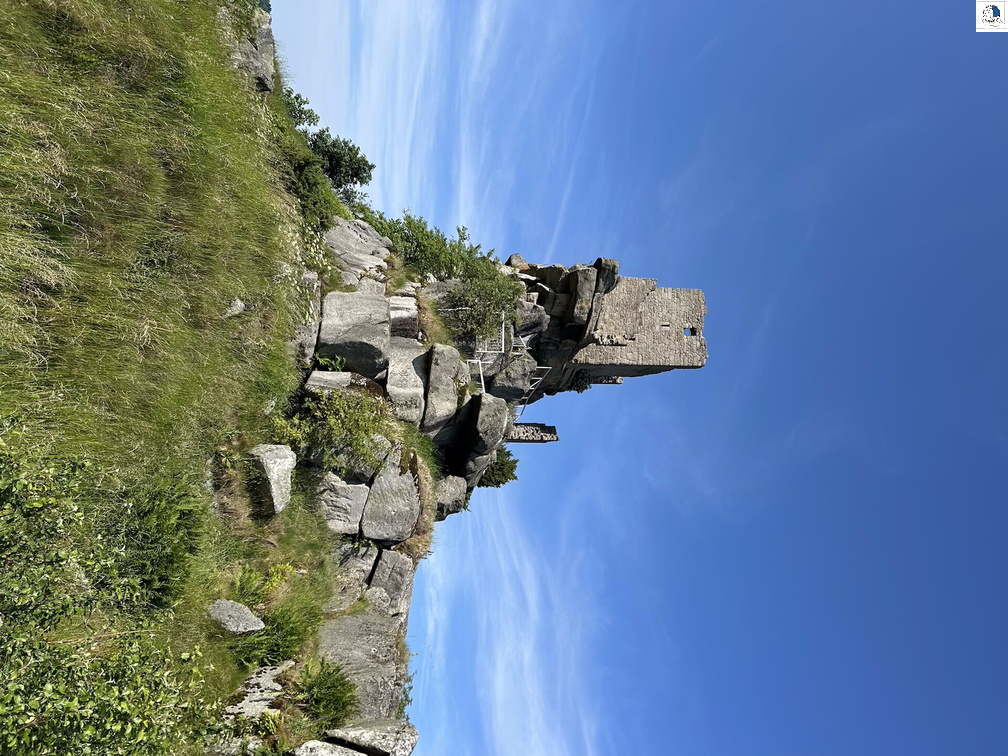 IMG 3051
