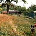 DSCF2625