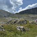 IMG 7345