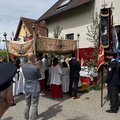 IMG 4535