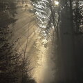 IMG 4051